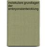 Molekulare Grundlagen der Embryonalentwicklung by Bodo Christ