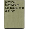 Practical Creativity At Key Stages One And Two door Jane Bower
