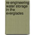 Re-Engineering Water Storage In The Everglades