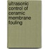 Ultrasonic Control Of Ceramic Membrane Fouling