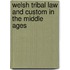 Welsh Tribal Law and Custom in the Middle Ages