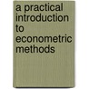 A Practical Introduction To Econometric Methods door Sonja S. Teelucksingh