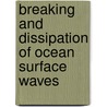 Breaking And Dissipation Of Ocean Surface Waves door Alexander V. Babanin