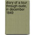 Diary Of A Tour Through Oude, In December 1849