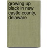 Growing Up Black in New Castle County, Delaware door Jeanne D. Nutter