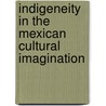 Indigeneity In The Mexican Cultural Imagination by Analisa Taylor