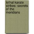 Lethal Karate Strikes: Secrets Of The Meridians