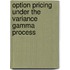 Option Pricing Under the Variance Gamma Process