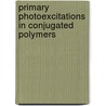 Primary Photoexcitations In Conjugated Polymers door N. Serdar Sariciftci