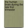 The Human Brain During the Late First Trimester door Shirley A. Bayer