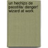 Un Hechizo De Pacotilla/ Danger! Wizard At Work