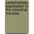 Carbohydrate Expression In The Intestinal Mucosa