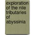Exploration Of The Nile Tributaries Of Abyssinia