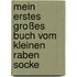 Mein erstes großes Buch vom kleinen Raben Socke