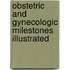 Obstetric And Gynecologic Milestones Illustrated