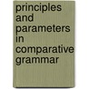 Principles and Parameters in Comparative Grammar by Robert Freidin