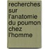 Recherches Sur L'Anatomie Du Poumon Chez L'Homme