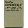 Salado Archaeology Of The Upper Gila, New Mexico by Stephen H. Lekson