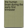 The Human Brain During the Early First Trimester door Shirley A. Bayer