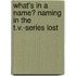 What's In A Name? Naming In The T.V.-Series Lost