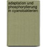 Adaptation Und Phosphorylierung In Cyanobakterien