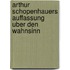 Arthur Schopenhauers Auffassung Uber Den Wahnsinn
