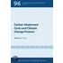 Carbon Abatement Costs And Climate Change Finance