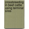 Crossbreeding In Beef Cattle Using Terminal Sires by akin pala