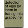 Detection Of Vlps By Isem In Transgenic Grapevine door Johanna Gottschamel