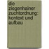 Die Ziegenhainer Zuchtordnung: Kontext Und Aufbau