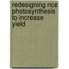 Redesigning Rice Photosynthesis To Increase Yield by P.L. Mitchell