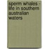 Sperm Whales - Life In Southern Australian Waters