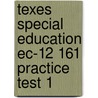 Texes Special Education Ec-12 161 Practice Test 1 by Sharon Wynne