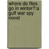 Where Do Flies Go In Winter?:A Gulf War Spy Novel