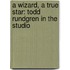 A Wizard, a True Star: Todd Rundgren in the Studio