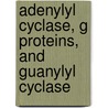Adenylyl Cyclase, G Proteins, And Guanylyl Cyclase by Melvin Simon