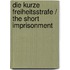 Die Kurze Freiheitsstrafe / the Short Imprisonment