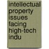 Intellectual Property Issues Facing High-Tech Indu