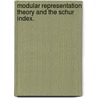 Modular Representation Theory And The Schur Index. door Michael Geline