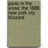 Panic In The Snow: The 1888 New York City Blizzard