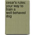 Cesar's Rules: Your Way To Train A Well-Behaved Dog