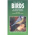 Field Guide To Birds Of Britain And Northern Europe