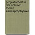 Projektarbeit In Der Schule: Thema Kariesprophylaxe