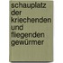 Schauplatz Der Kriechenden Und Fliegenden Gewürmer