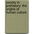 Society In Prehistory: The Origins Of Human Culture