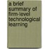 A Brief Summary Of Firm-Level Technological Learning