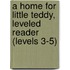 A Home for Little Teddy, Leveled Reader (Levels 3-5)
