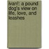 Ivan!: A Pound Dog's View On Life, Love, And Leashes