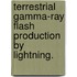 Terrestrial Gamma-Ray Flash Production By Lightning.