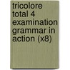 Tricolore Total 4 Examination Grammar In Action (X8) by Sylvia Honnor